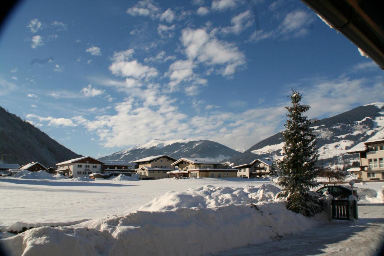 Appartement Oase Der Ruhe à Hollersbach im Pinzgau Extérieur photo