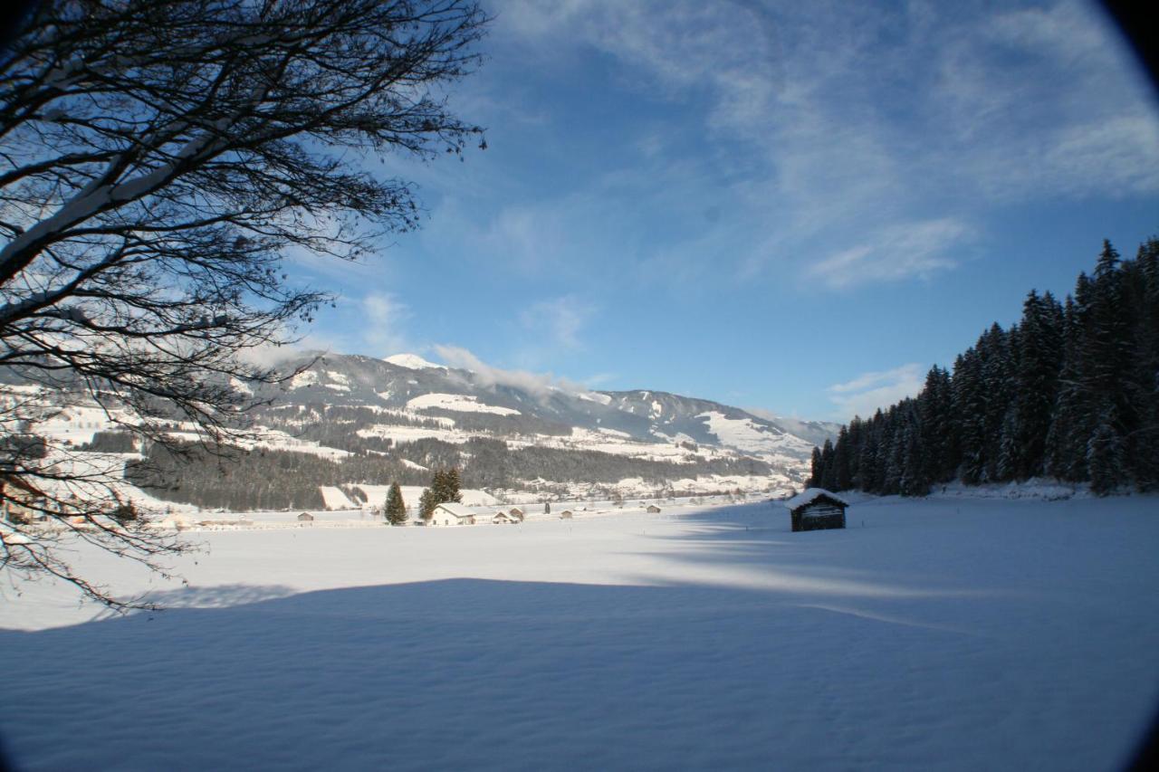 Appartement Oase Der Ruhe à Hollersbach im Pinzgau Extérieur photo