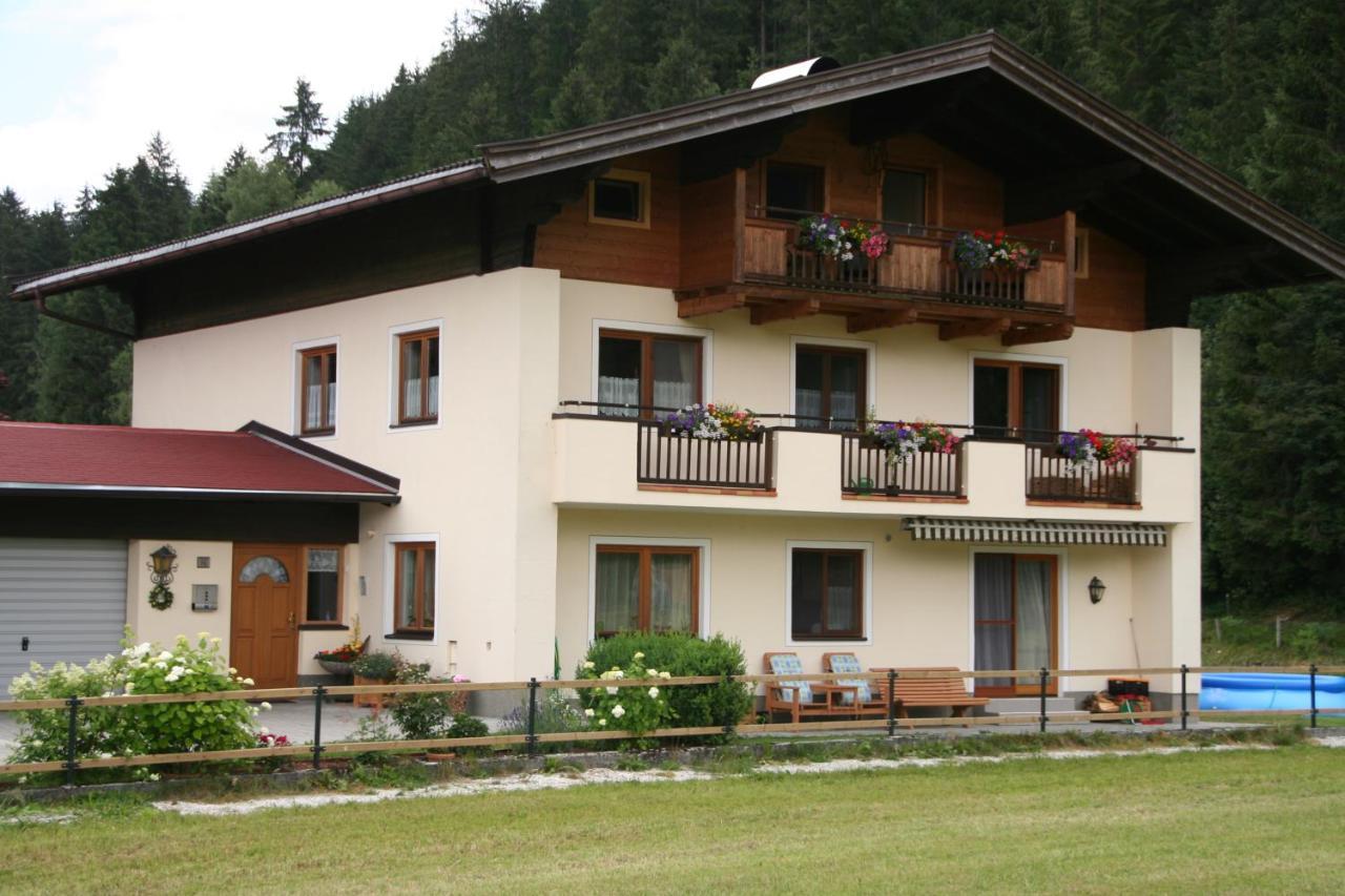 Appartement Oase Der Ruhe à Hollersbach im Pinzgau Extérieur photo