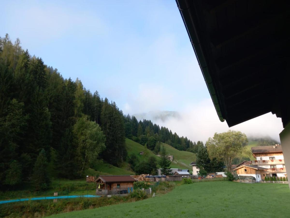 Appartement Oase Der Ruhe à Hollersbach im Pinzgau Extérieur photo