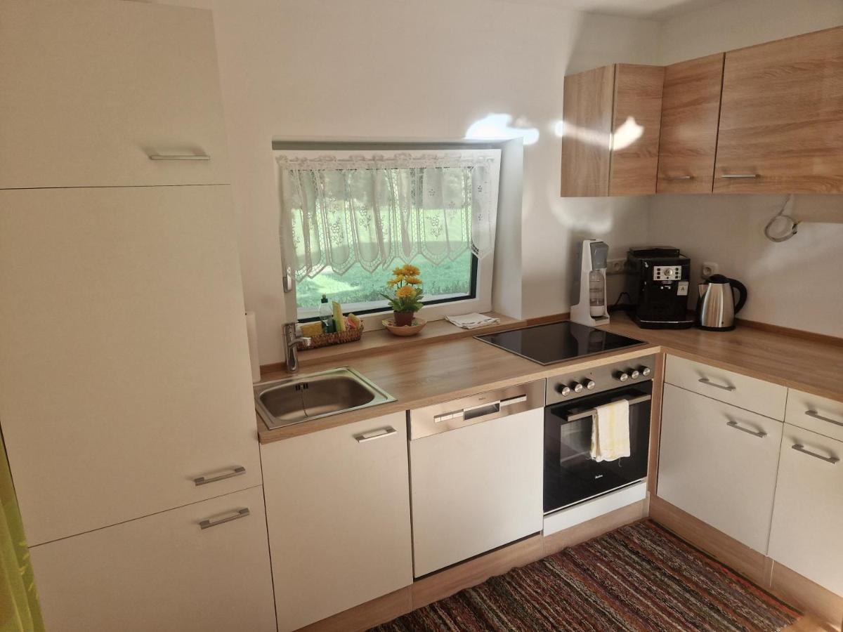 Appartement Oase Der Ruhe à Hollersbach im Pinzgau Extérieur photo