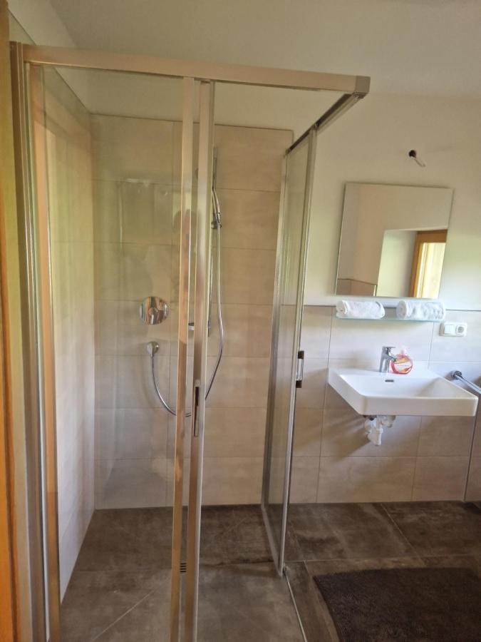 Appartement Oase Der Ruhe à Hollersbach im Pinzgau Extérieur photo