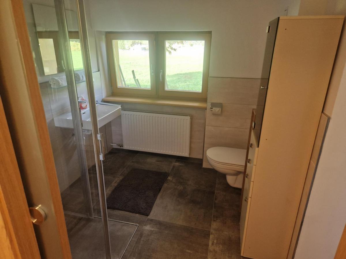 Appartement Oase Der Ruhe à Hollersbach im Pinzgau Extérieur photo
