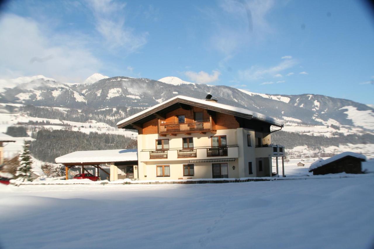 Appartement Oase Der Ruhe à Hollersbach im Pinzgau Extérieur photo