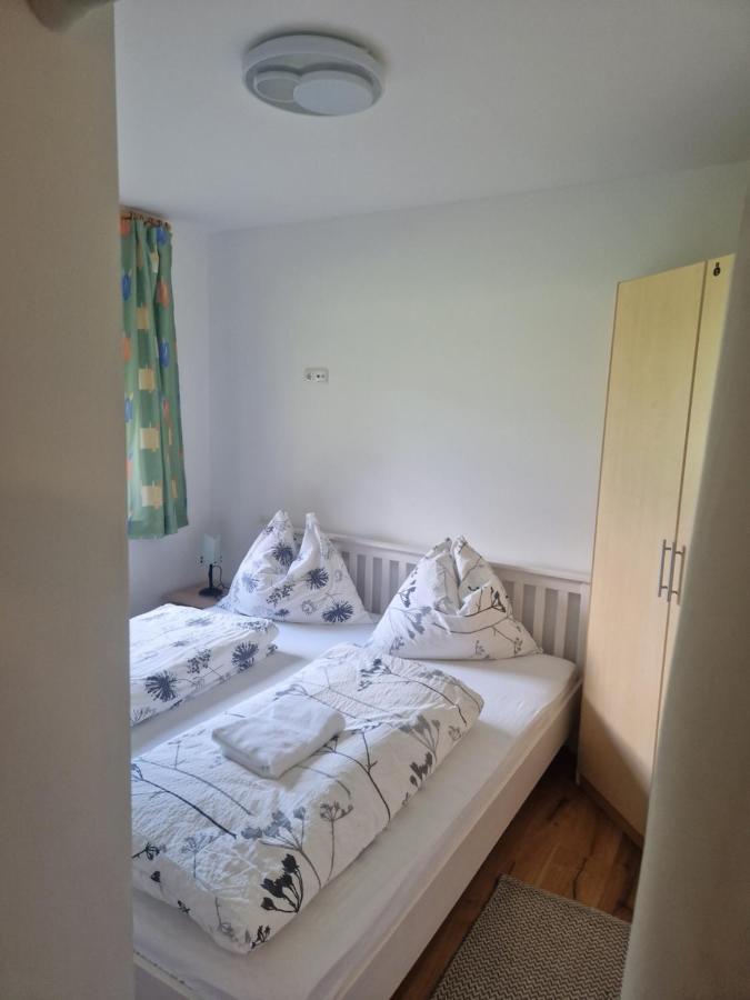Appartement Oase Der Ruhe à Hollersbach im Pinzgau Extérieur photo